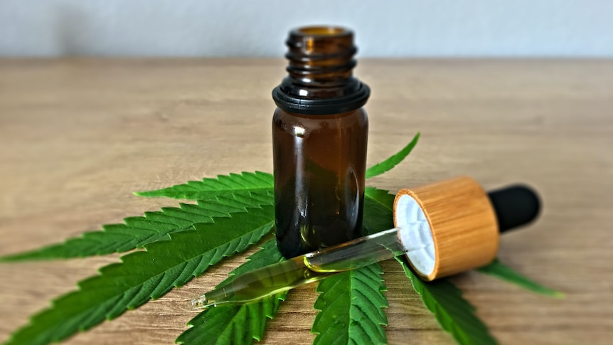 CBD oil dropper in hand