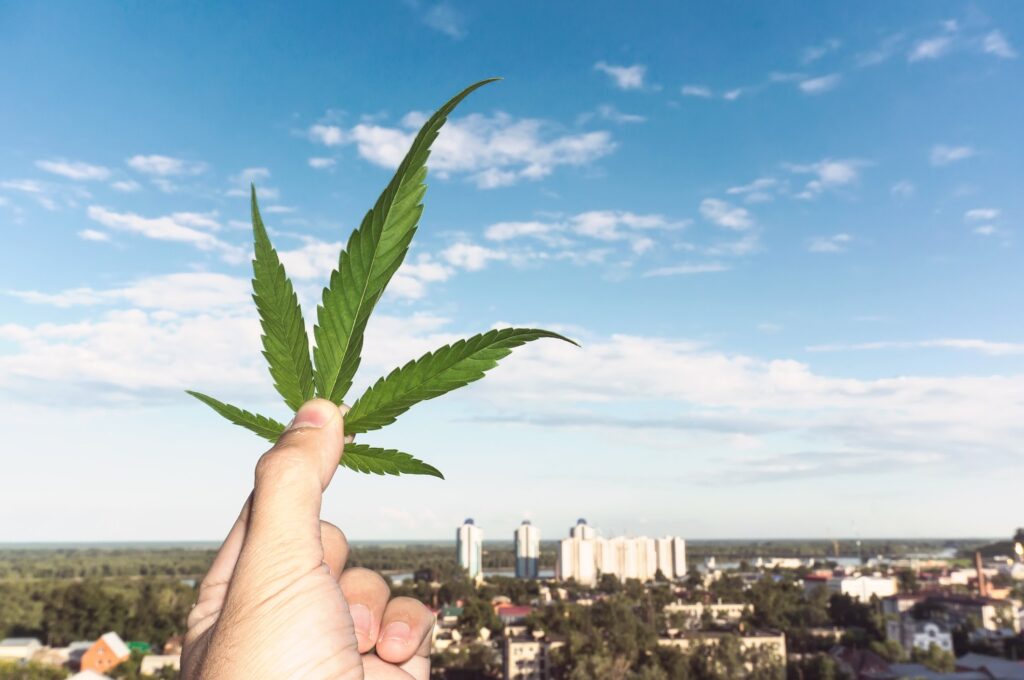 Cannabis leaf in urban setting